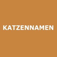 Coole Katzennamen